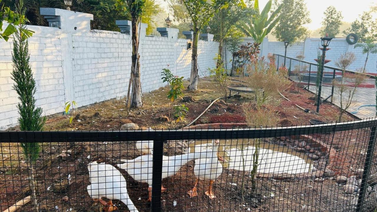 אינדורה Fun O Farm Luxury Farm Villa מראה חיצוני תמונה